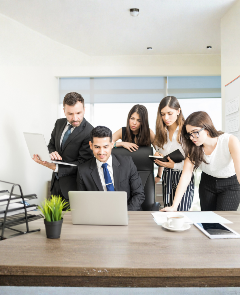 what is a disc assessment